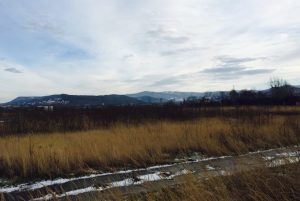 Fot. joomla.wadowice24.promo-peak.ovh