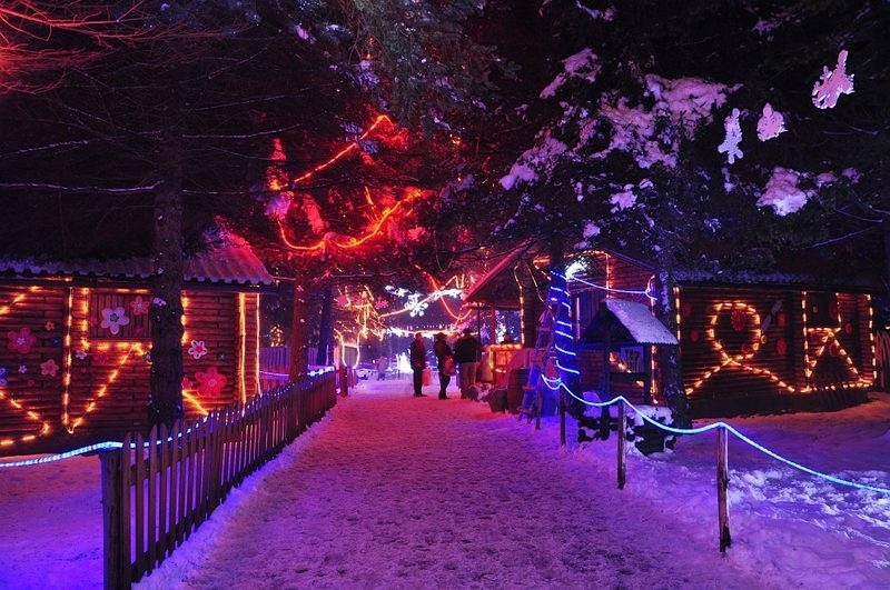 Fot. materiały prasowe