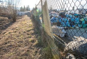 Fot. Marcin Płaszczyca