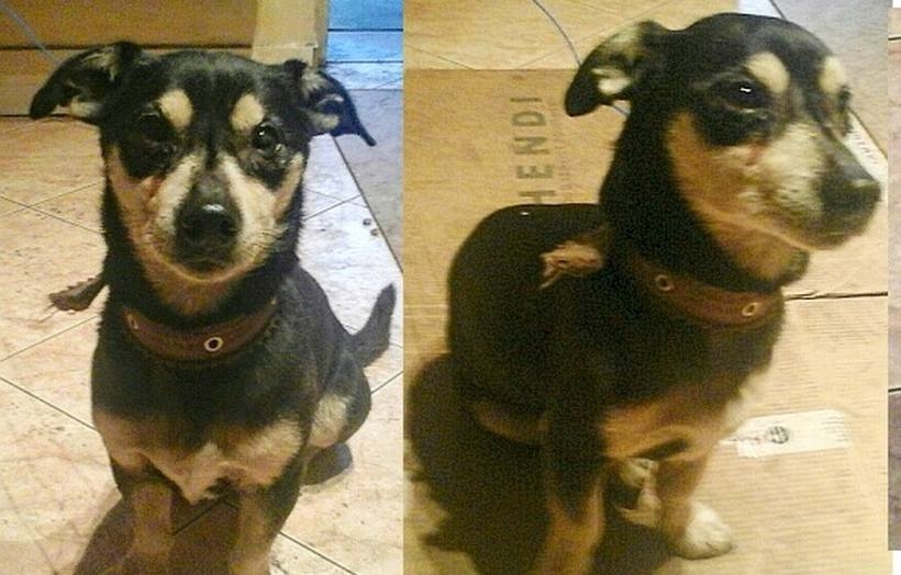 Fot. UG w Lanckoronie