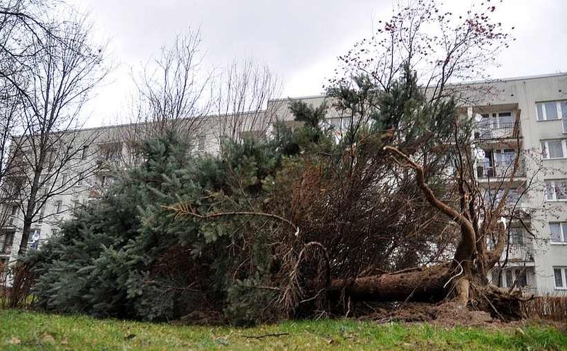 Fot. Archiwum joomla.wadowice24.promo-peak.ovh/ Ilustracja