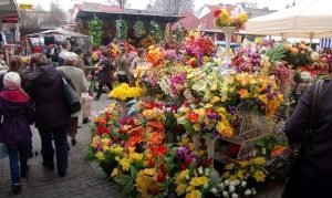 Fot. Archiwum joomla.wadowice24.promo-peak.ovh/ Ilustracja