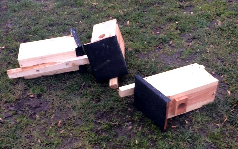 Fot. joomla.wadowice24.promo-peak.ovh