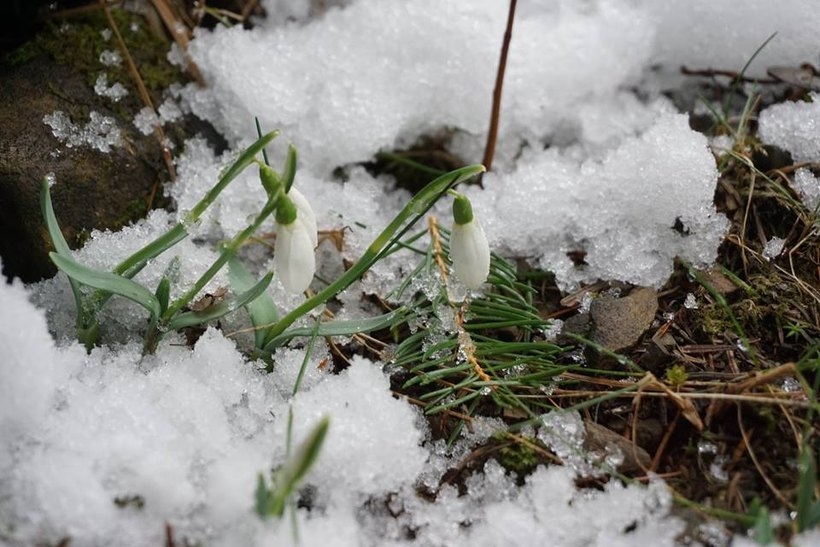 Fot. Babiogórski Park Narodowy