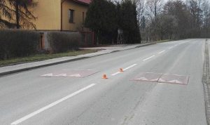 Fot. Marcin Woźniak