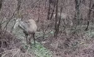 Fot. Marcin Woźniak