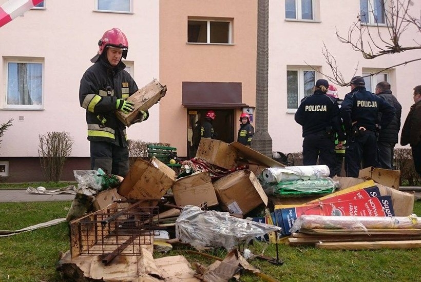 Fot. Karina Płaszczyca