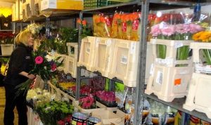 Fot. Archiwum joomla.wadowice24.promo-peak.ovh