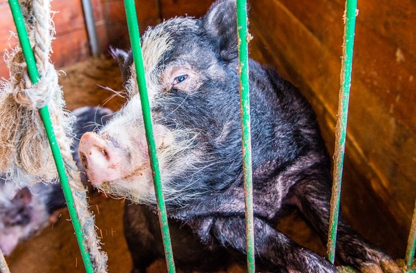 Fot. joomla.wadowice24.promo-peak.ovh