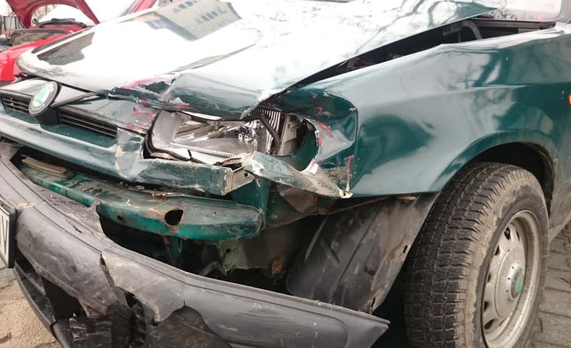 Fot. Karina Płaszczyca