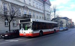 Fot. Marcin Płaszczyca