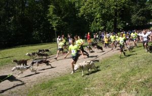 Fot. UM Kalwaria Zebrzydowska