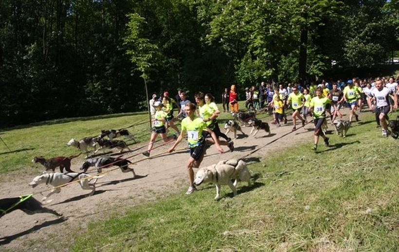 Fot. UM Kalwaria Zebrzydowska