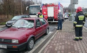 Fot. Karina Płaszczyca