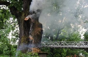 Fot. R. Kadela/ mucharz.pl