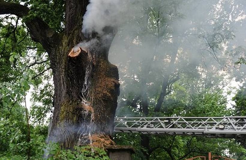 Fot. R. Kadela/ mucharz.pl