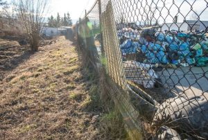 Fot. Marcin Płaszczyca