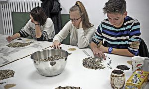 Fot. Dominika Bogdan