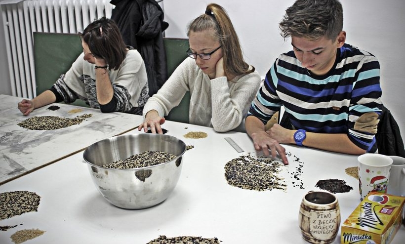 Fot. Dominika Bogdan