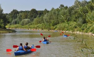 Fot. Ilustracja/Archiwum/ Ośrodek Kultury w Tomicach