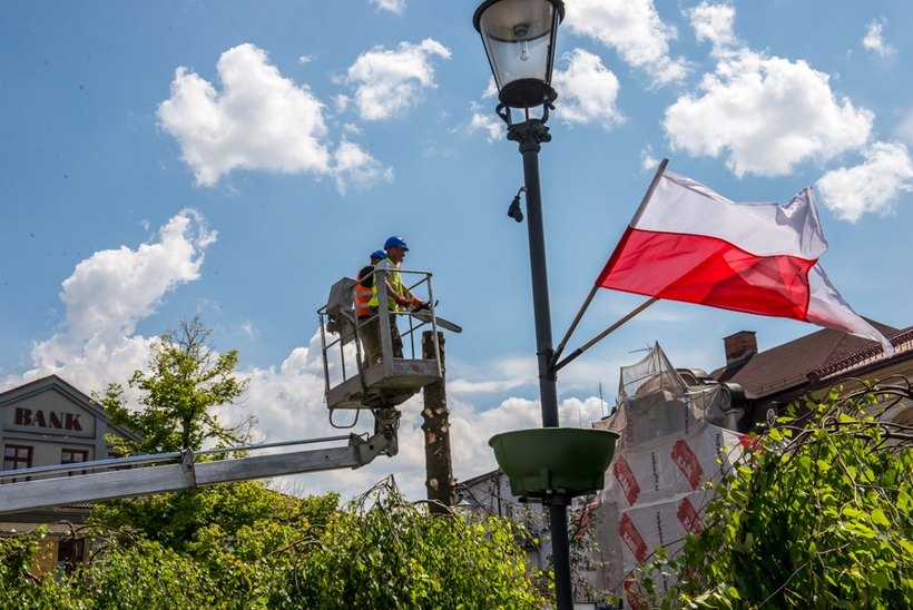 Fot. Marcin Płaszczyca