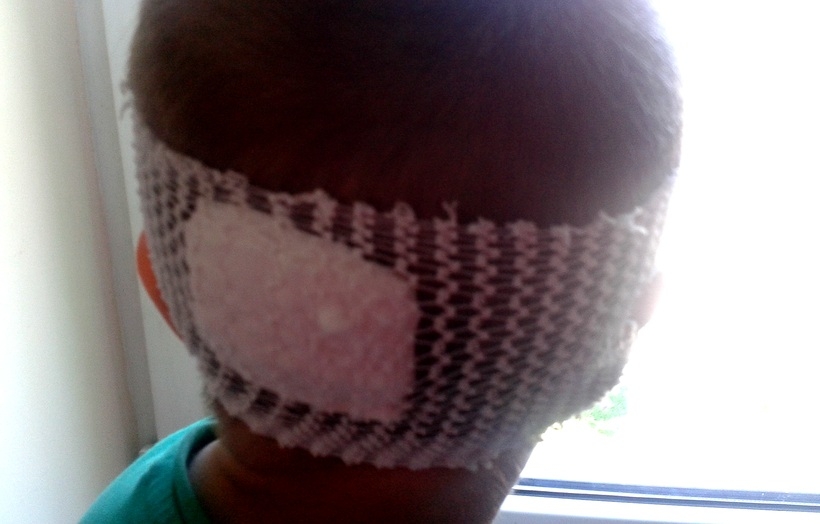 Fot. Materiały Nadesłane