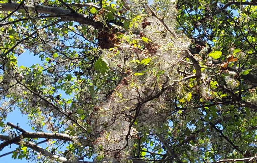 Fot. Karina Płaszczyca