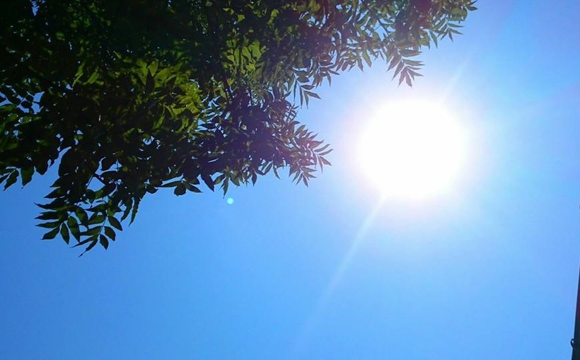 Fot.Karina Płaszczyca