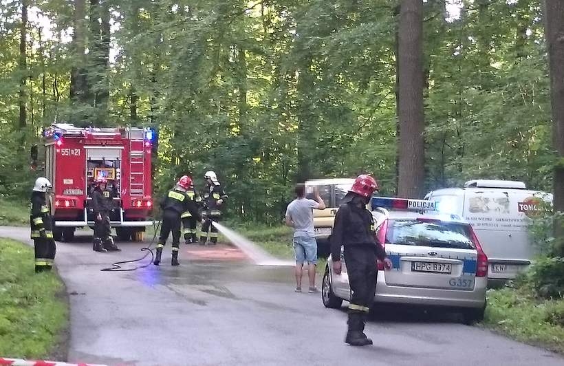 Fot. nadesłał Kamil