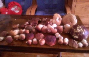 Fot. Adrian z Andrychowa