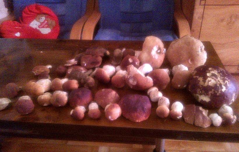 Fot. Adrian z Andrychowa