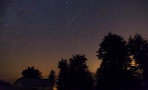 Fot. materiały prasowe