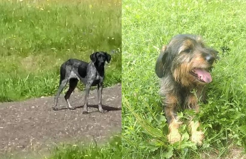 Fot. UG Mucharz, UM Wadowice