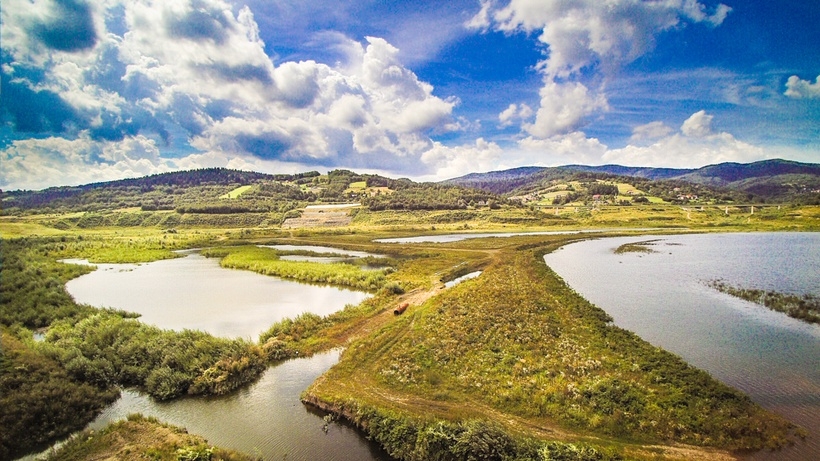 Fot. Marcin Płaszczyca