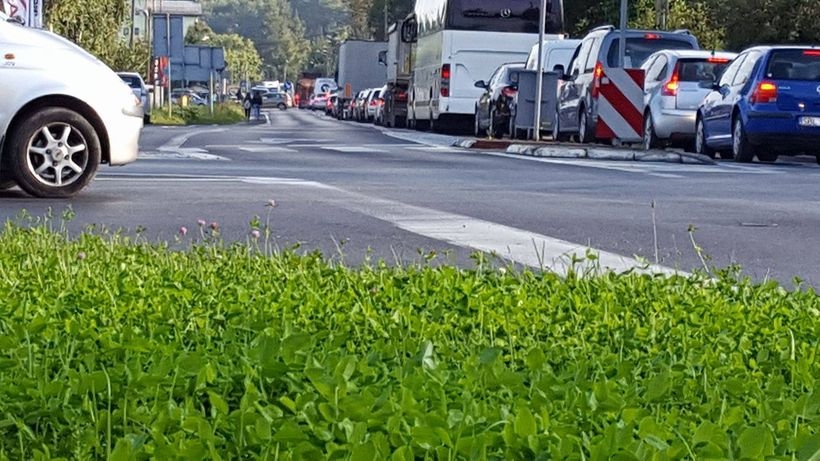 Fot. Karina Płaszczyca