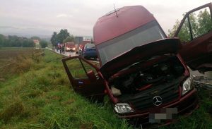 Fot. Materiały nadesłane