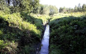 Fot. A.Latko/UG Spytkowice