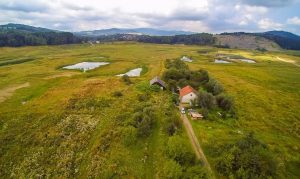 Fot. Marcin Płaszczyca