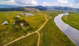 Fot. Marcin Płaszczyca