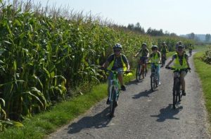 Fot. Materiały Prasowe