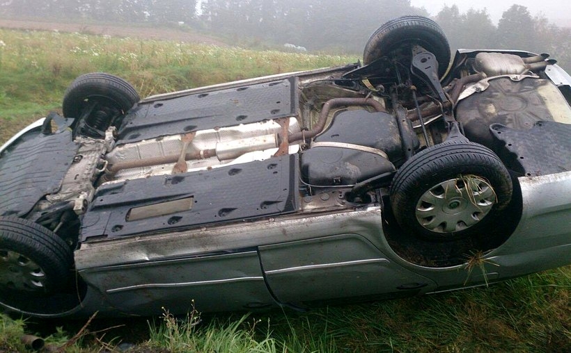 Fot. Materiały nadesłane