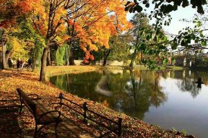 Fot. Nowiny Andrychowskie