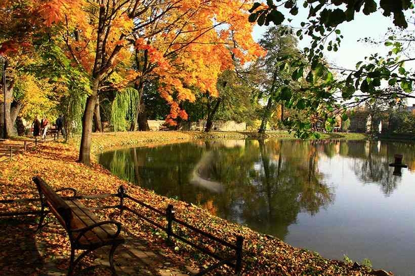 Fot. Nowiny Andrychowskie