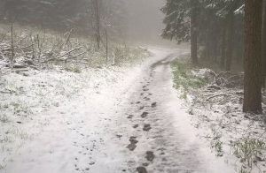 Fot. Archiwum joomla.wadowice24.promo-peak.ovh/M.Czermak