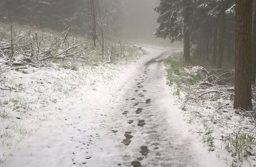 Fot. Archiwum joomla.wadowice24.promo-peak.ovh/M.Czermak