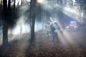 Fot. Nowiny Andrychowskie