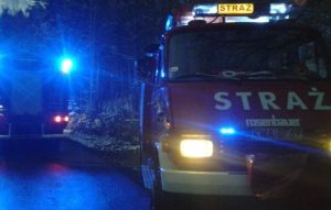 Fot. Ilustracja/ Facebook/OSPMucharz