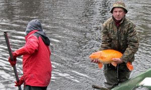 Fot. Nowiny Andrychowskie