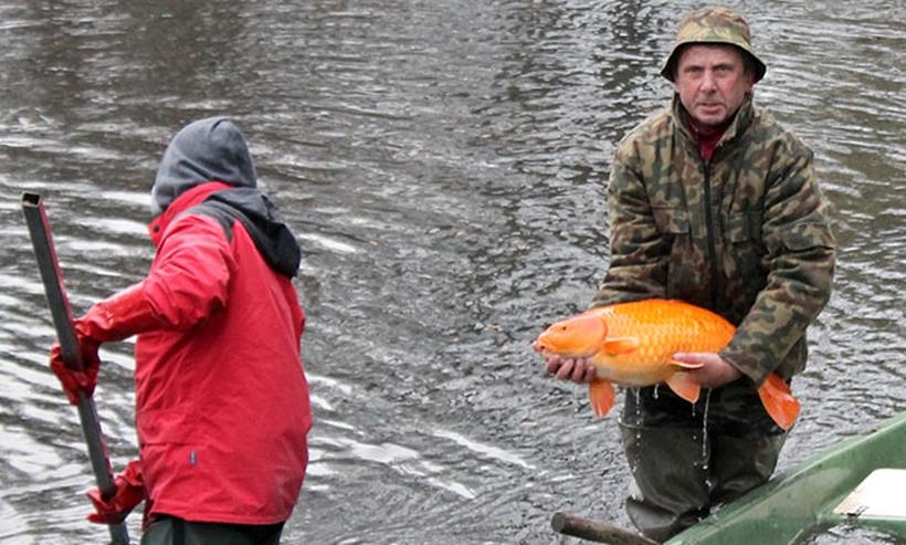 Fot. Nowiny Andrychowskie