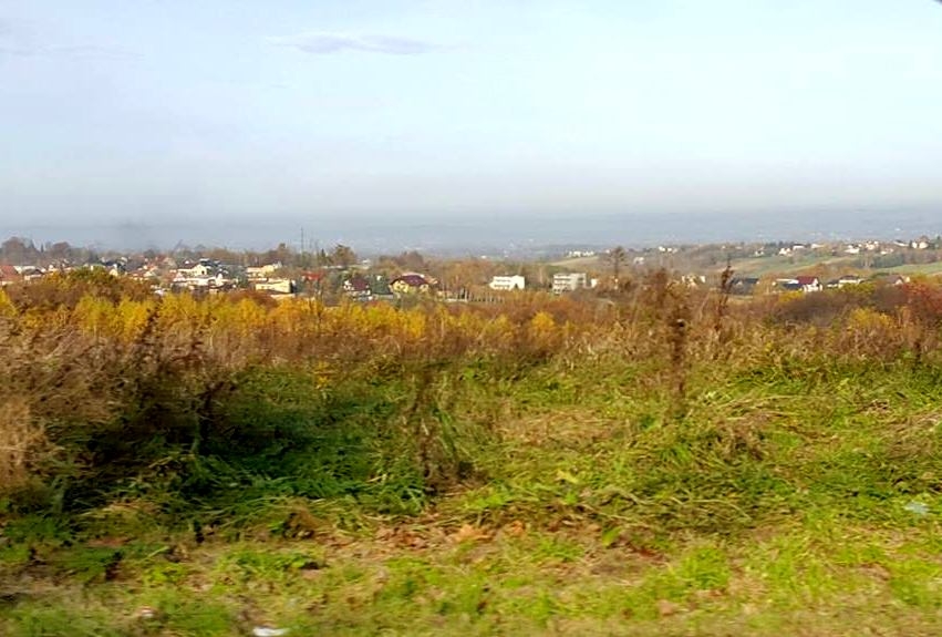 Fot. Karina Płaszczyca